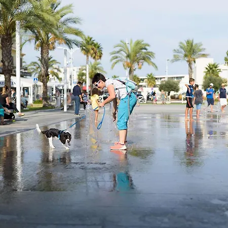 Avec Terrasse Ensoleillee, Piscines, Parking Prive, A 500m De La * Le Grau-du-Roi