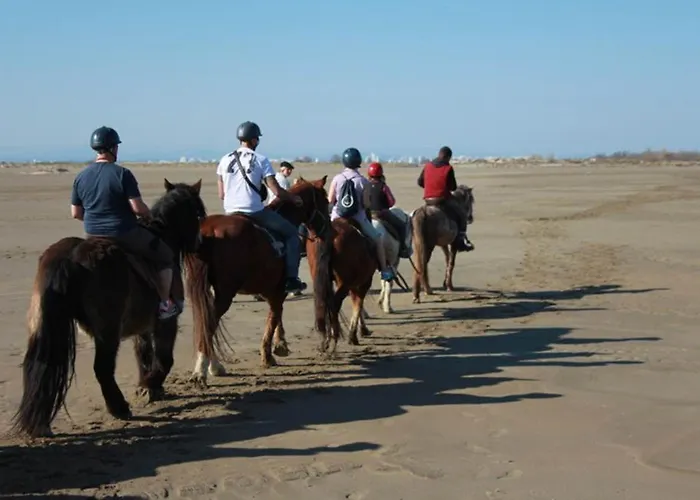 Avec Terrasse Ensoleillee, Piscines, Parking Prive, A 500m De La - Fr-1-307-133