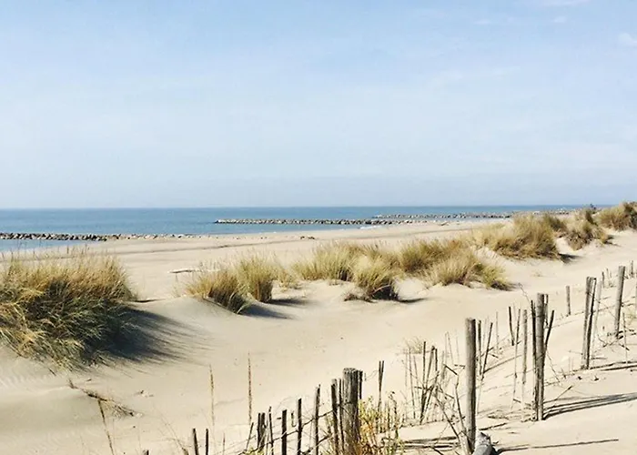 Avec Terrasse Ensoleillee, Piscines, Parking Prive, A 500m De La - Fr-1-307-133 Daire Le Grau-du-Roi